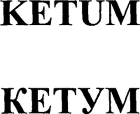 KETUM trademark