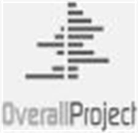 OverallProject trademark