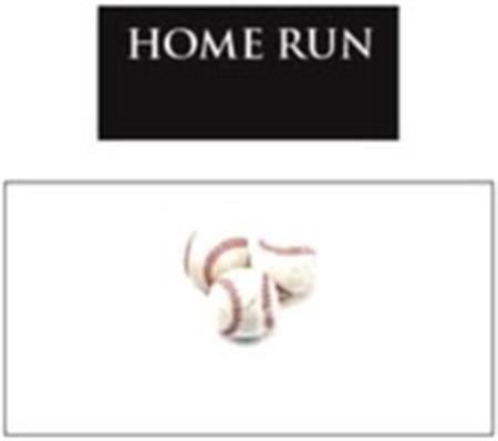 HOME RUN trademark