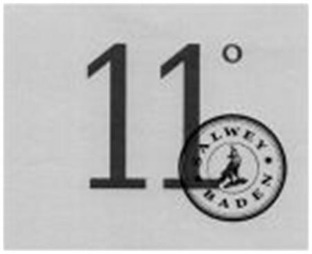 11° SALWEY BADEN trademark