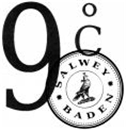 9 C SALWEY BADEN trademark