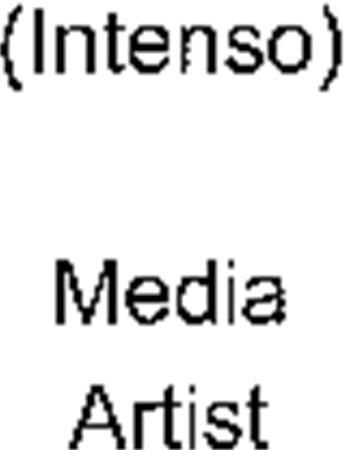 (Intenso) Media Artist trademark