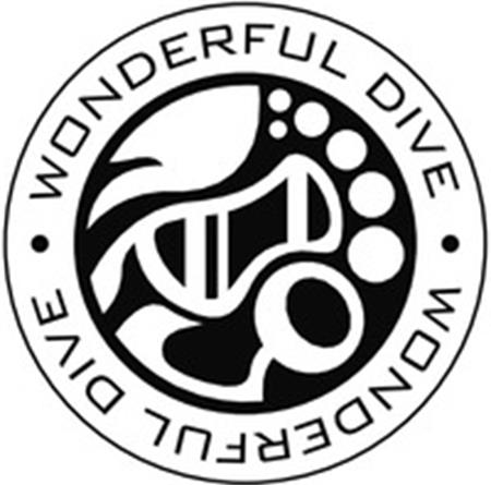 WONDERFUL DIVE trademark