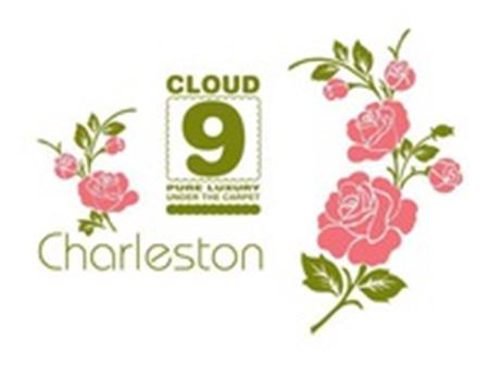 CLOUD 9 PURE LUXURY UNDER THE CARPET Charleston trademark