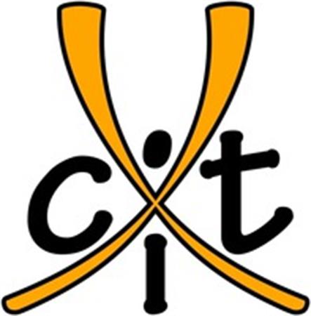 XCit trademark