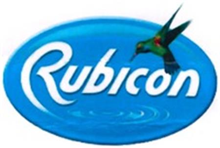 Rubicon trademark