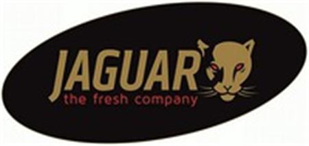 JAGUAR the fresh company trademark