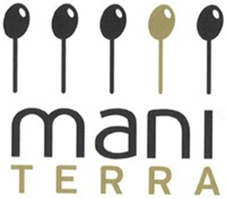 mani TERRA trademark