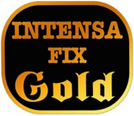 INTENSA FIX Gold trademark