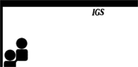 IGS INSTITUT DE GESTION SOCIALE trademark