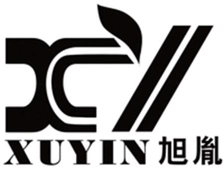 XY XUYIN trademark