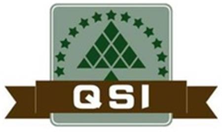 QSI trademark