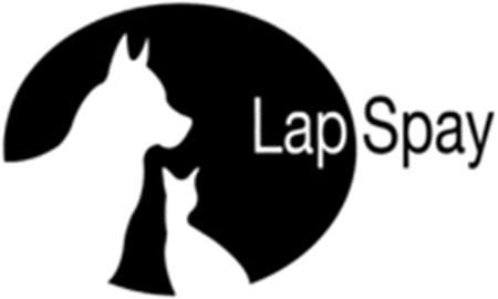 LapSpay trademark