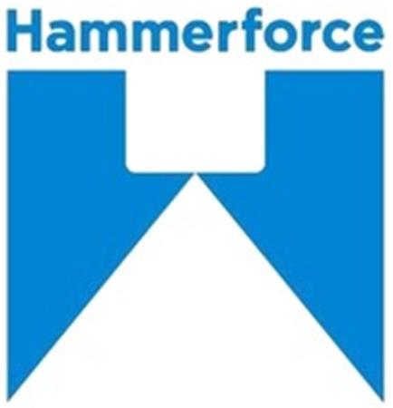 Hammerforce trademark