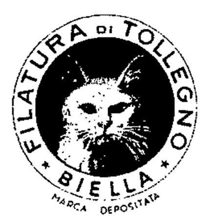 FILATURA DI TOLLEGNO BIELLA trademark