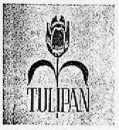 TULIPAN trademark