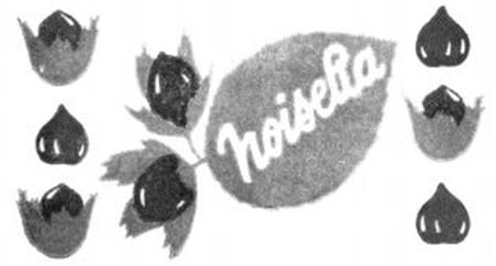 noisella trademark