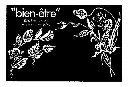 bien-être trademark