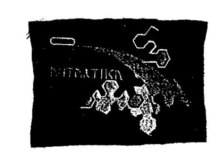 FILA ANTARTIKA trademark