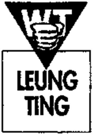 LEUNG TING WT trademark