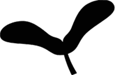 Logo trademark