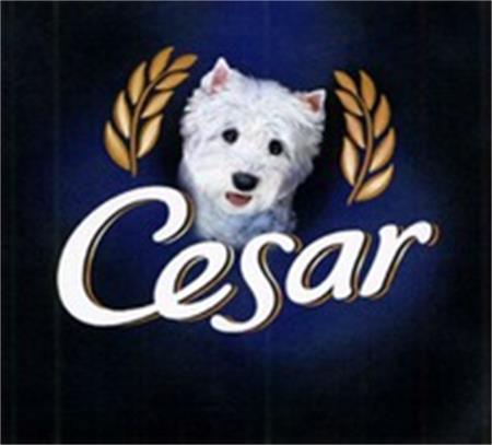 Cesar trademark