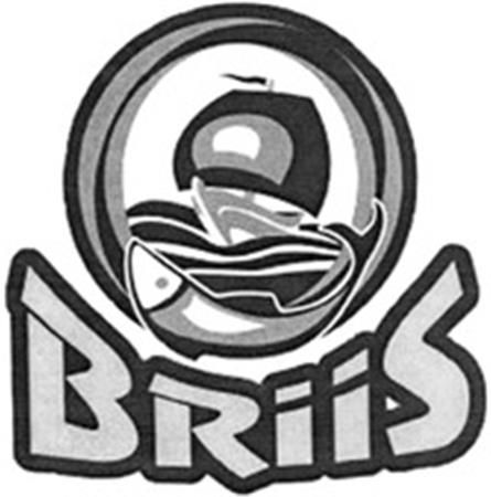 BRIIS trademark